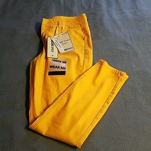 Blue spice waist high pants